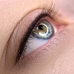 2013c390-15c8-4841-a3d7-ded53686c6fb